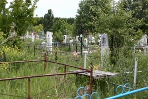 Омские кладбища обработают от клещей до конца апреля