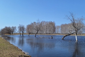 В Усть-Ишиме укрепляют дамбу, чтобы сдержать воду в реке Ишим