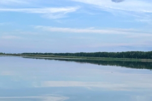 На берегу озера Старица под Омском хотят создать новую пляжную зону за 3,5 миллиона
