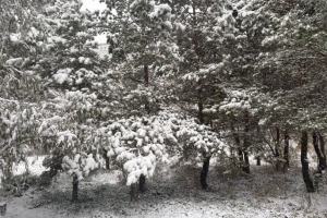 На выходных в Омской области потеплеет и пойдет снег